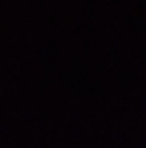 Meet your Posher, Trevor